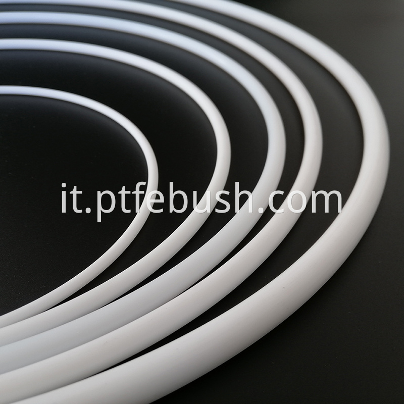 Ptfe O Ring 13